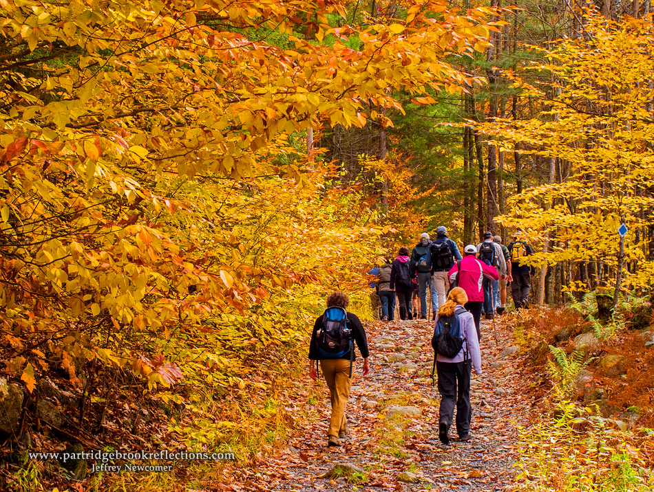 Getting it Right in the Digital Camera Photographing all of the New